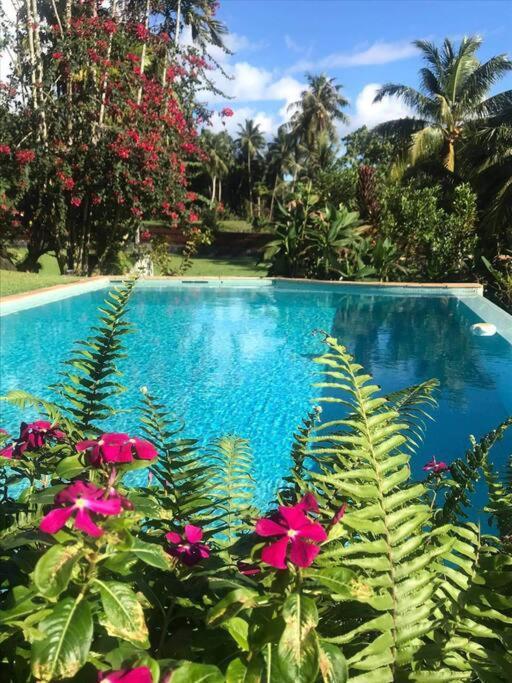 Te Mana Lodge Taravao المظهر الخارجي الصورة